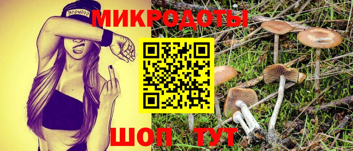 Псилоцибиновые грибы прущие грибы  Галлюциногенные грибы Magic Shrooms  Будённовск  Вход с VPN 