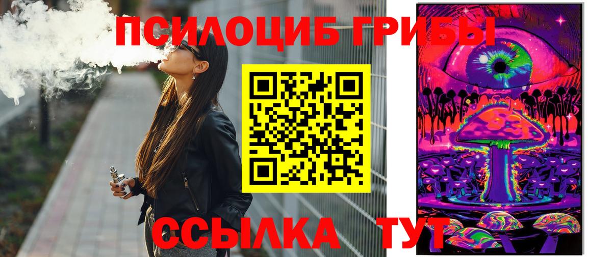 Галлюциногенные грибы Psilocybe Будённовск