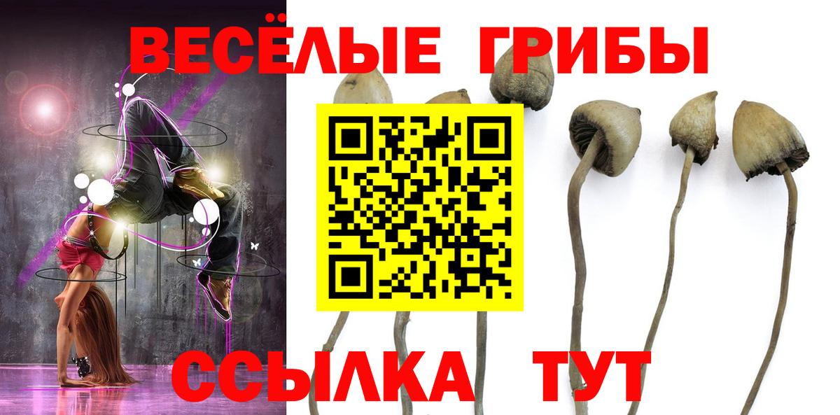 Alpha PVP СОЛЬ кристаллы  Будённовск  Меф кристаллы  МАРИХУАНА  Вход с VPN  Гашиш  Гашиш  Cocaine  КОКАИН  МЕТАМФЕТАМИН 